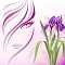 iris beauté